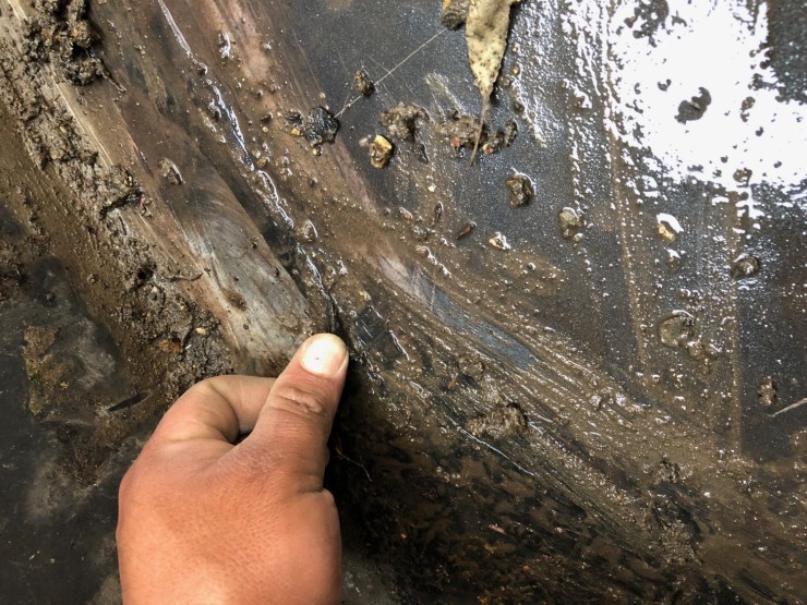 Gallery 44 Expert Super Seal Roofing & Tuckpointing