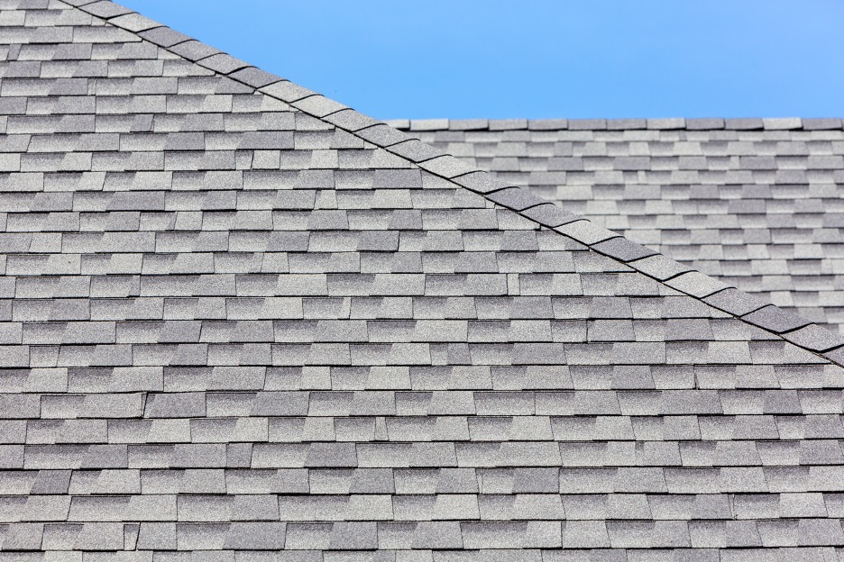 Roofing and tuckpointing company in Humboldt Park, Chicago
