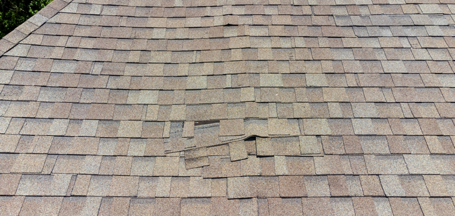Roofing and tuckpointing contractor in Lincoln Park Chicago