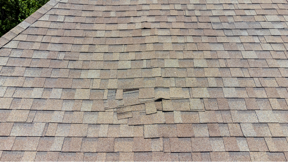 Roofing and tuckpointing contractor in Lincoln Park Chicago