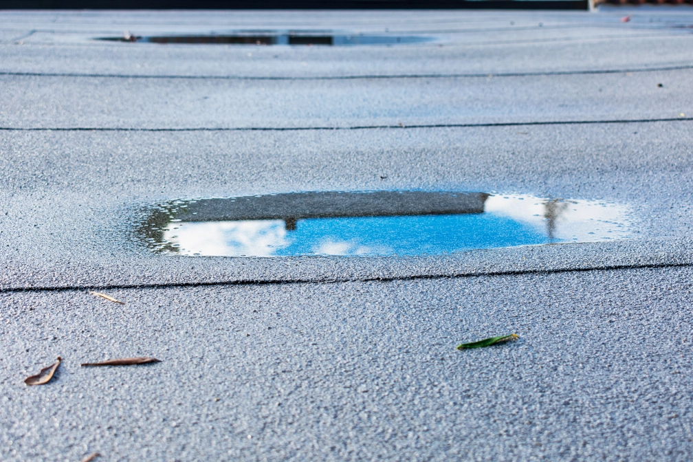 Roofing and tuckpointing services in Roscoe Village Chicago