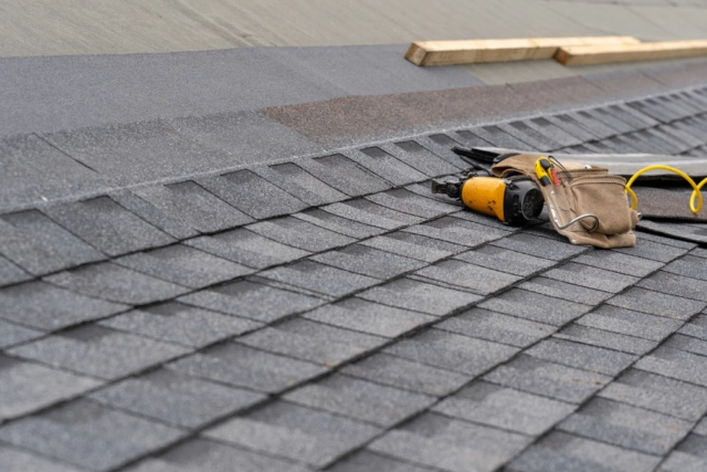Roofing and tuckpointing contractors in Wicker Park Chicago