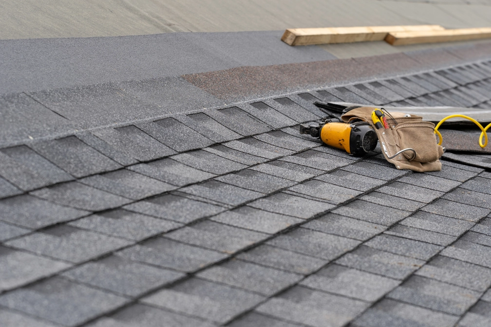 Roofing and tuckpointing contractors in Wicker Park Chicago