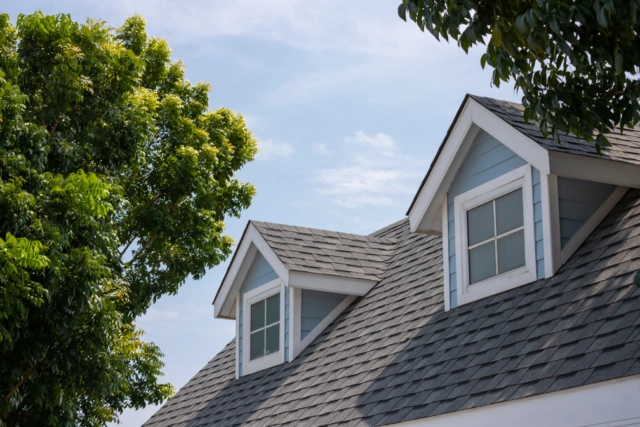 Roofing and tuckpointing contractors in Humboldt Park Chicago