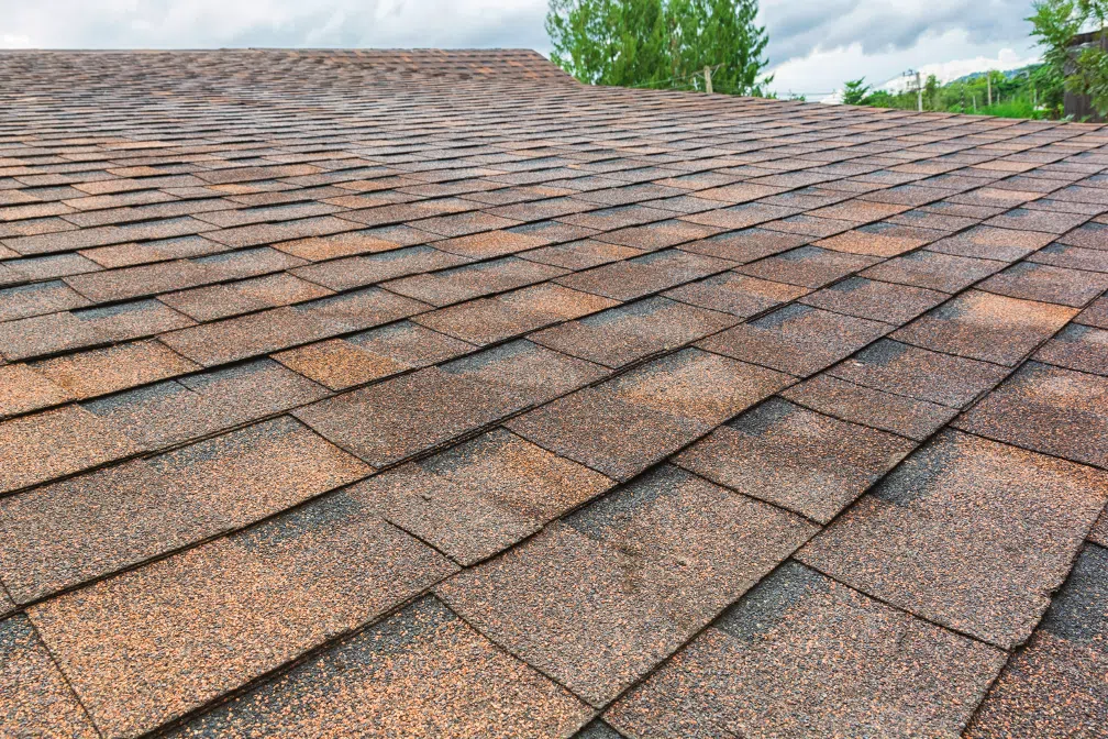 Roofing contractor in Humboldt Park Chicago
