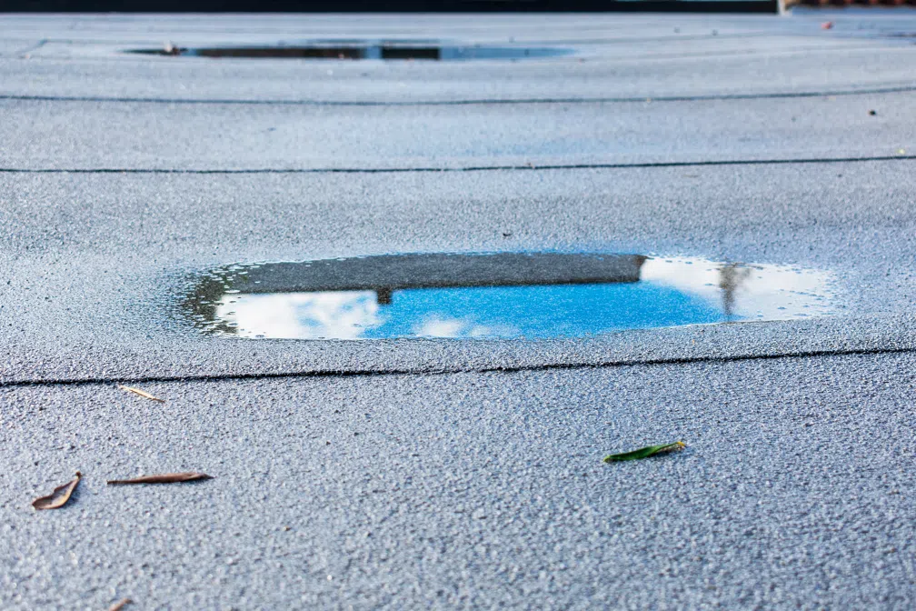 Lincoln Park Chicago flat roofing and tuckpointing contractor