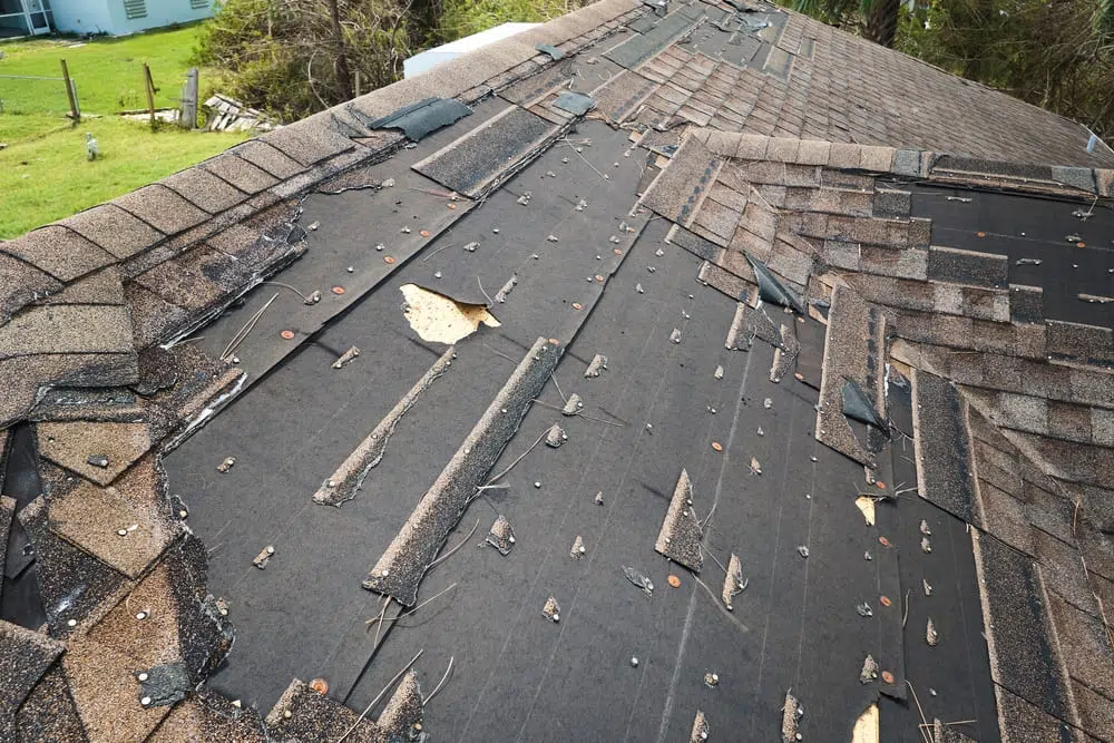 New Roof Leaking After 2 Years? (Here’s Why) 2 What To Do If Your 2 Year Old Roof Is Leaking